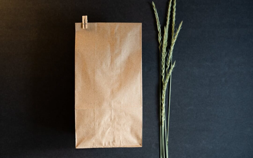 Sustainable Pet Food 101: What to Look For & How to Choose Wisely